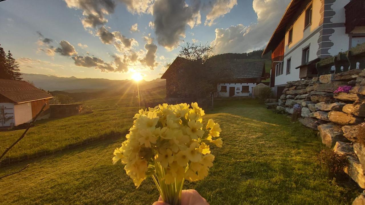 Schweizer Hof Lejlighed Tamsweg Eksteriør billede