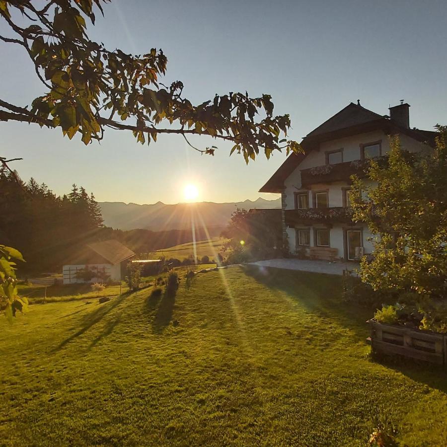 Schweizer Hof Lejlighed Tamsweg Eksteriør billede